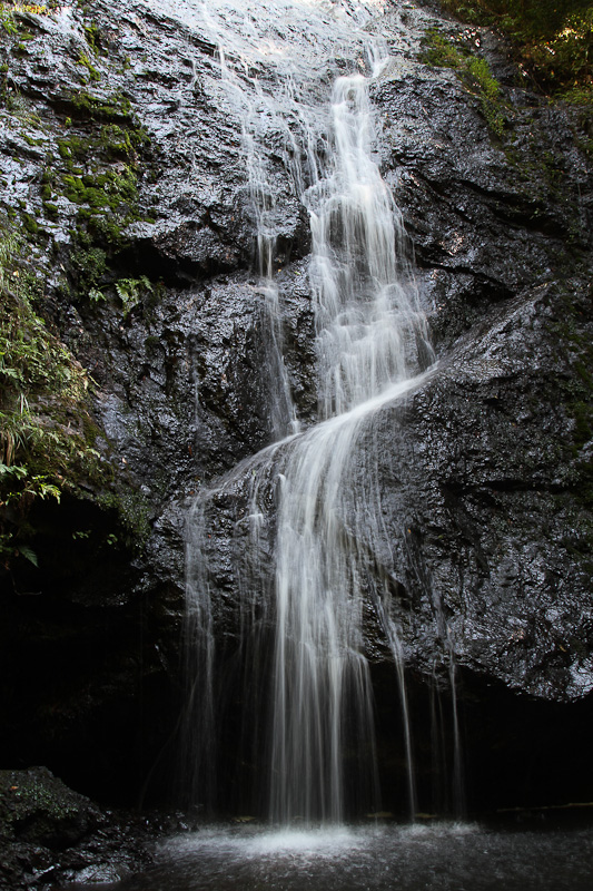 e0214961_192449.jpg