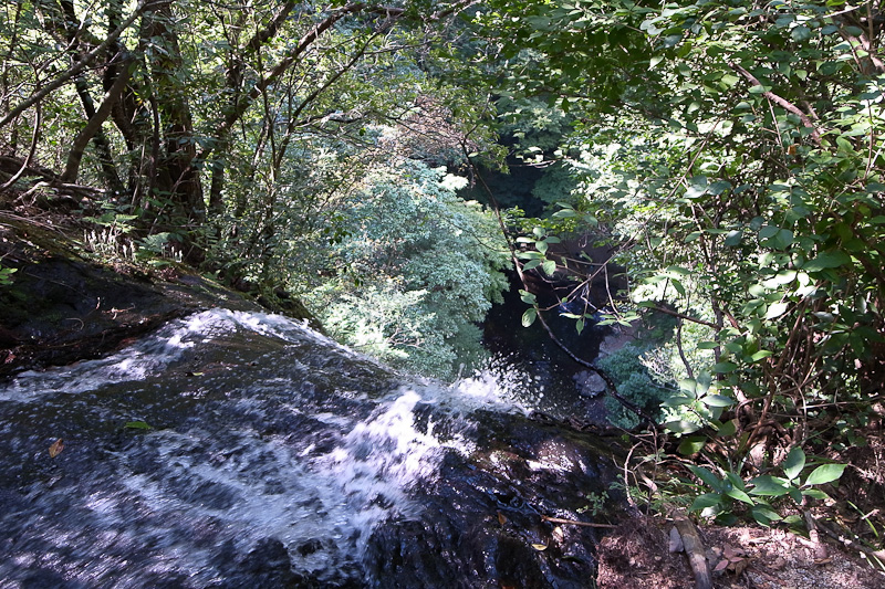 e0214961_1972148.jpg