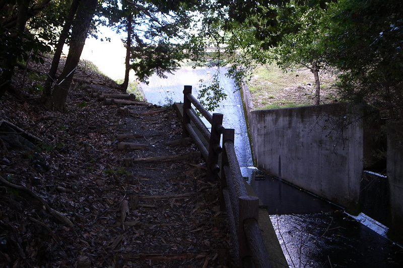 e0214961_1972685.jpg