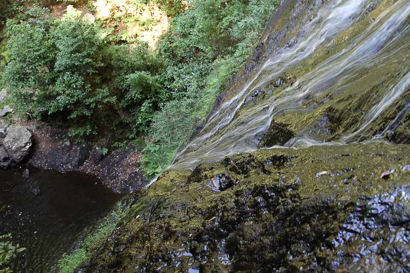 e0214961_197511.jpg