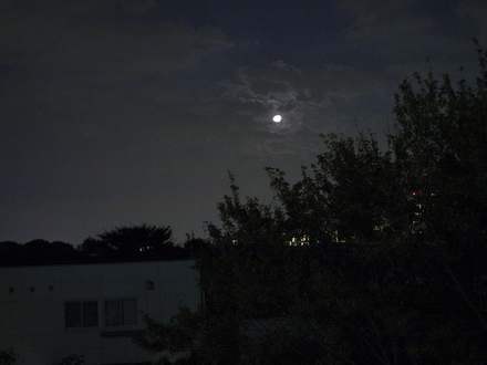 b0122664_2284477.jpg