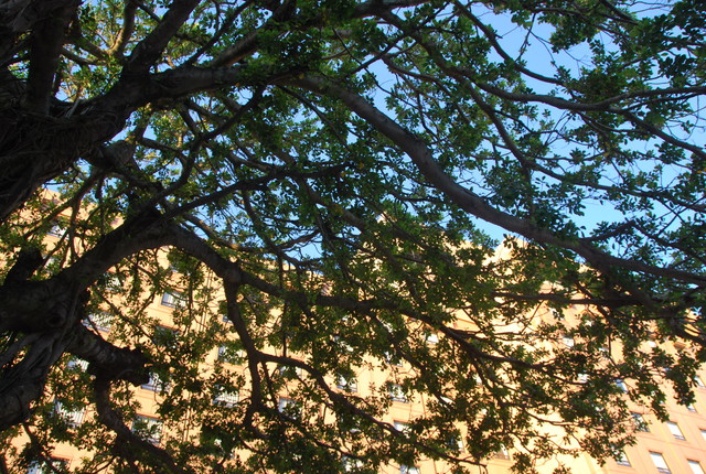 b0174068_14603.jpg