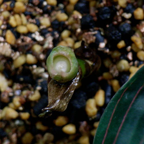 d0249970_20185479.jpg