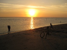 b0200971_13325436.jpg