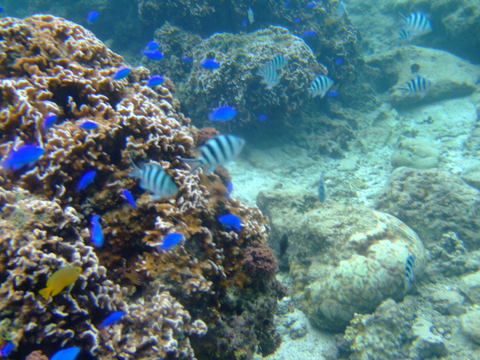 a0203772_2133364.jpg