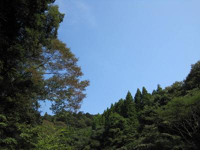 a0157174_21184324.jpg