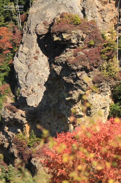 e0218375_2139482.jpg