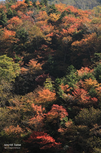 e0218375_2140659.jpg