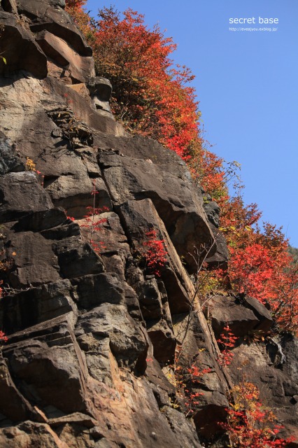 e0218375_21425350.jpg