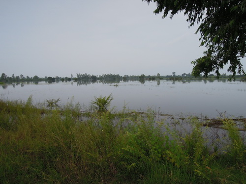 a0002177_1734163.jpg