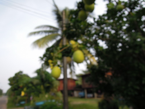 a0002177_18194483.jpg