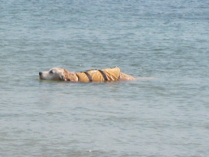 f0005081_2292720.jpg