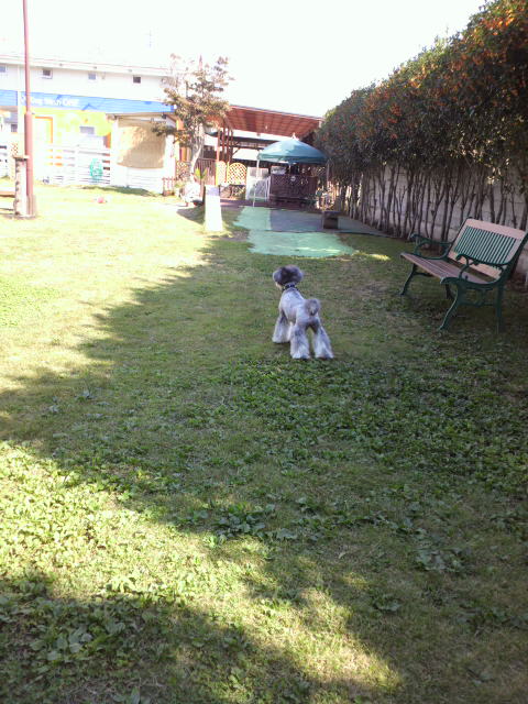 f0155381_0355989.jpg