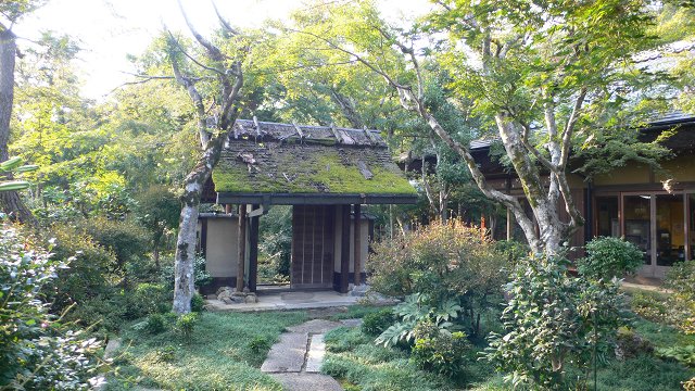 b0042882_2293557.jpg
