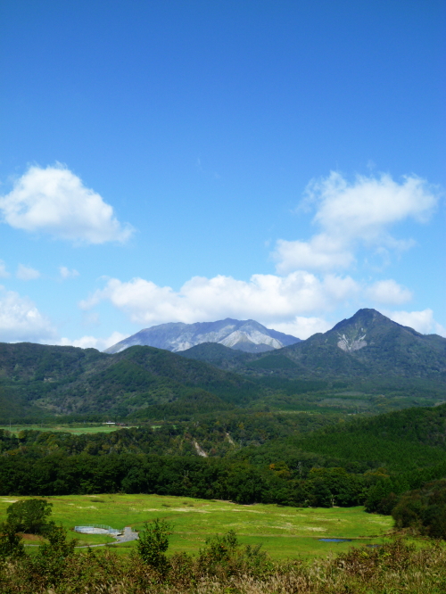 d0179983_21294050.jpg