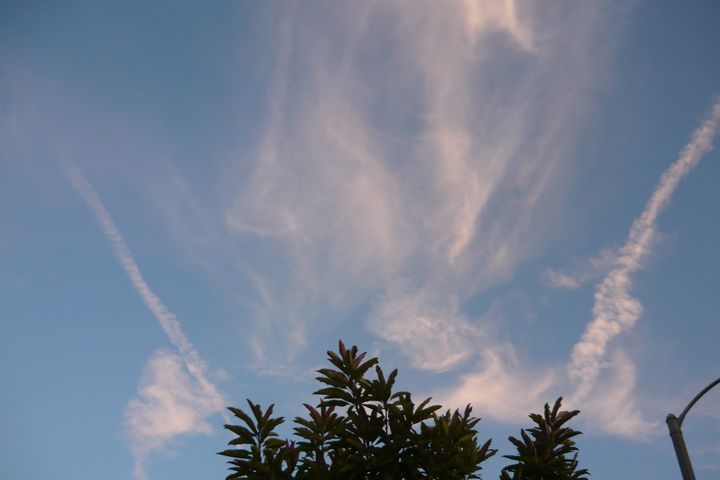 b0202185_15524450.jpg