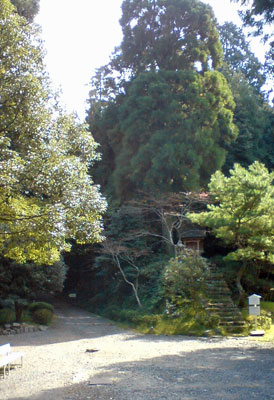 b0019591_823596.jpg