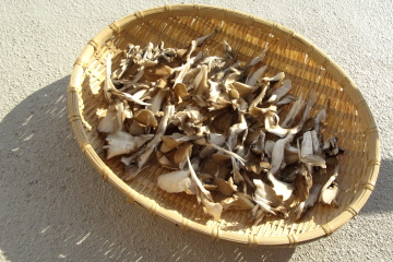 f0103797_200687.jpg