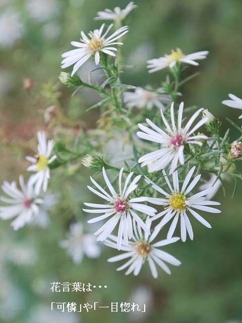 e0025300_15144015.jpg