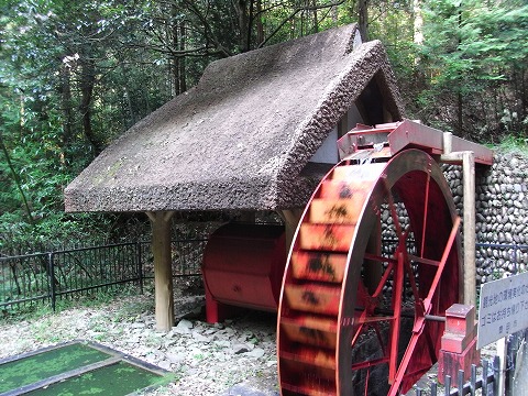 f0187402_22435698.jpg