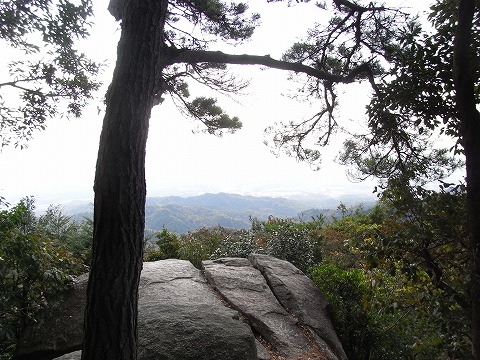 f0187402_22441553.jpg