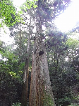 f0187402_22444479.jpg