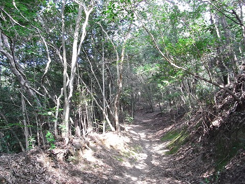 f0187402_2244526.jpg