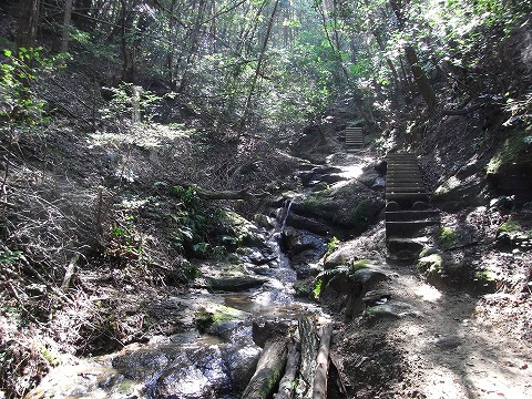 f0187402_22451042.jpg