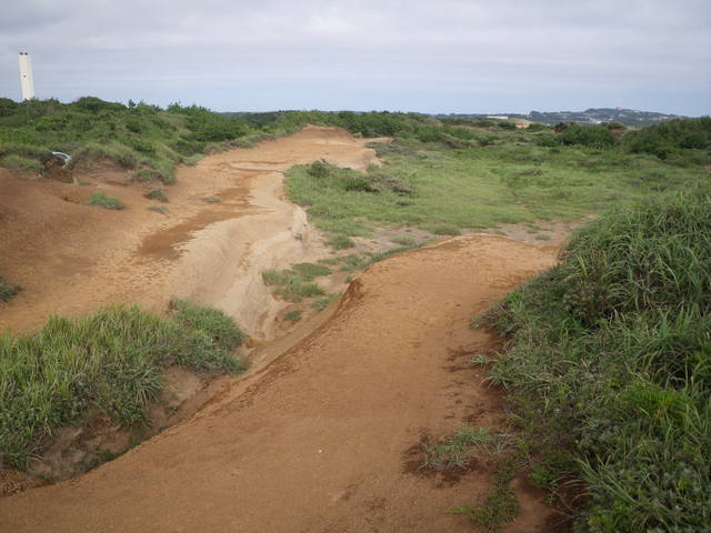 a0116205_9314471.jpg
