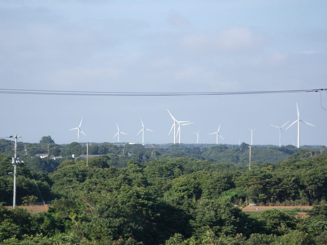 a0116205_934349.jpg