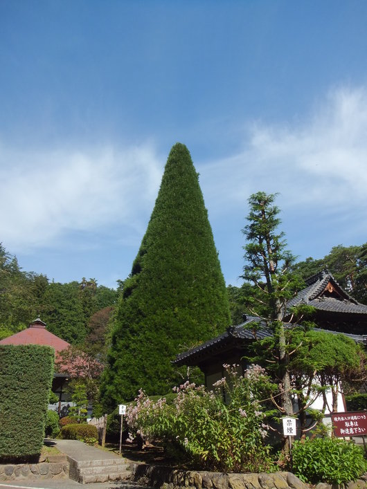 d0149306_5252889.jpg