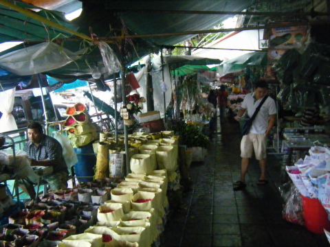 f0151809_1130833.jpg