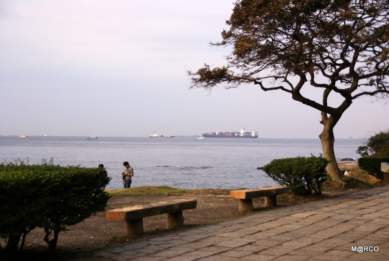 c0037611_23135530.jpg