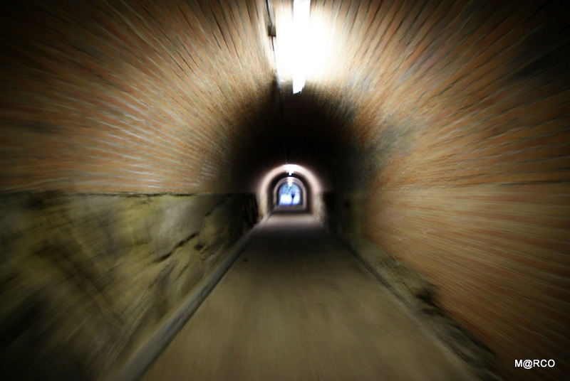 c0037611_23234839.jpg