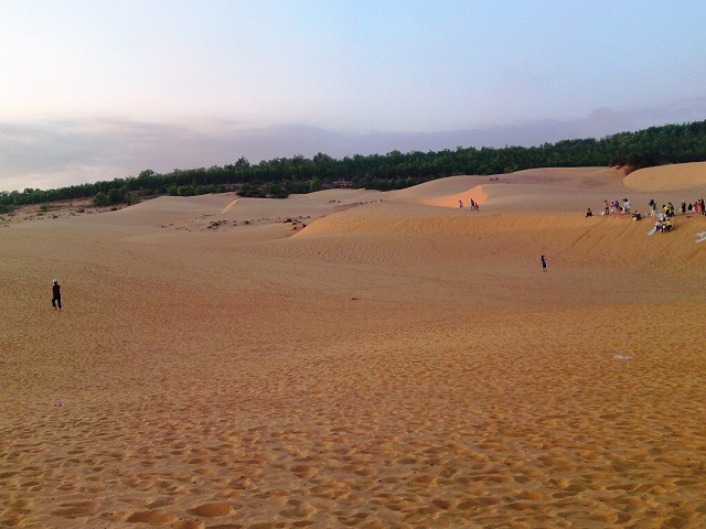 a0000014_17502231.jpg