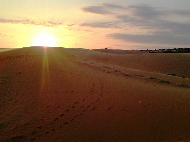a0000014_175563.jpg