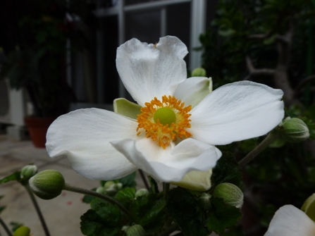 c0042418_8534910.jpg
