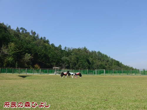 e0179321_21551868.jpg