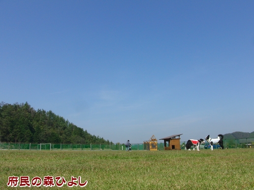e0179321_21553477.jpg