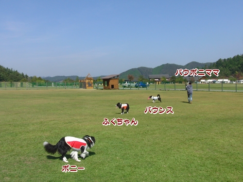 e0179321_2158686.jpg