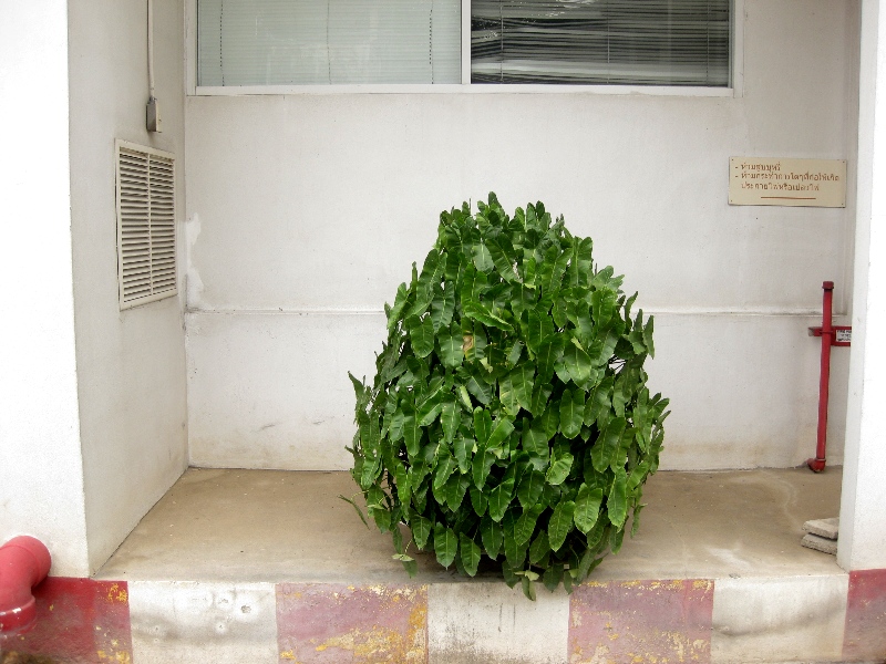 c0134522_11423537.jpg