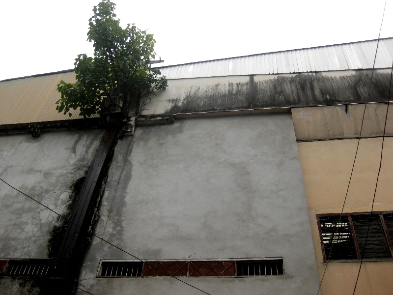 c0134522_11433052.jpg
