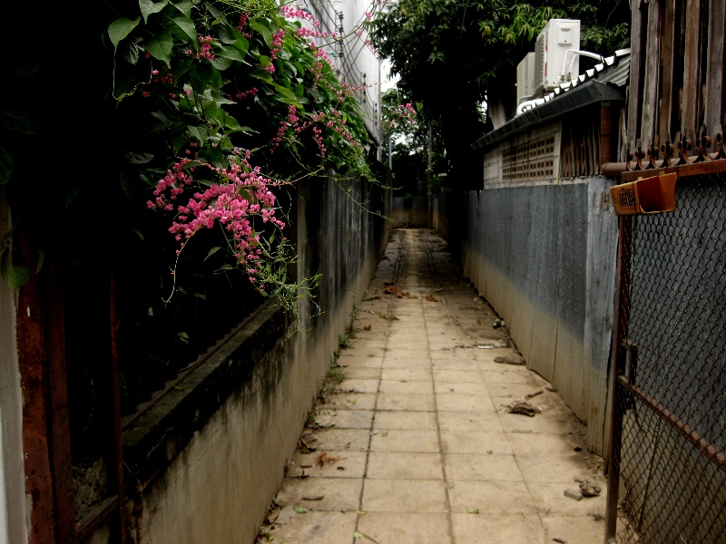 c0134522_11443319.jpg