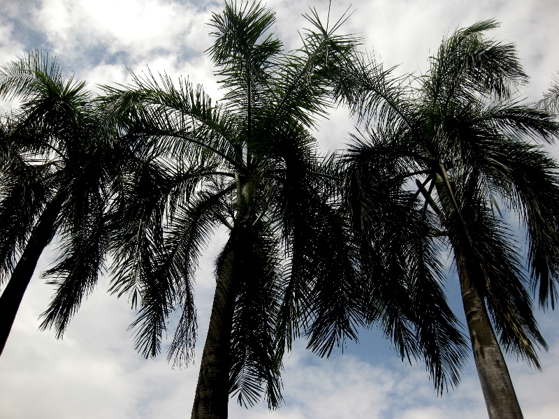 c0134522_11444697.jpg