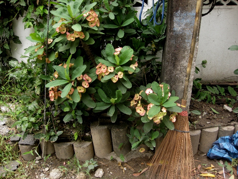 c0134522_13251366.jpg