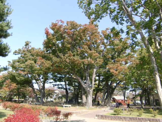 e0234924_1020492.jpg