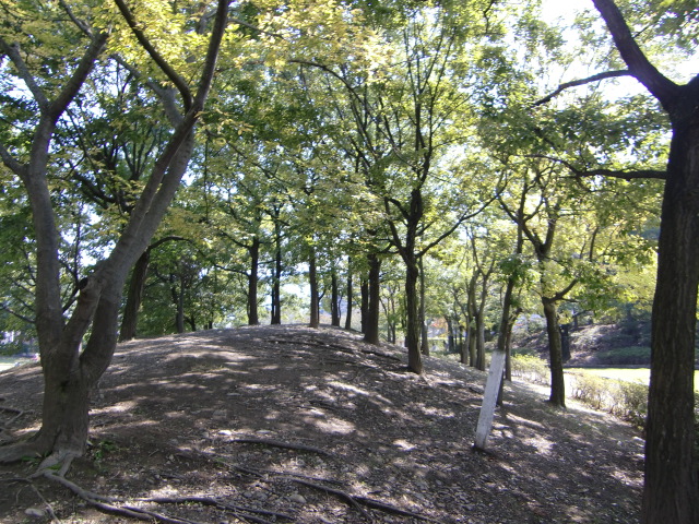 e0234924_10233895.jpg