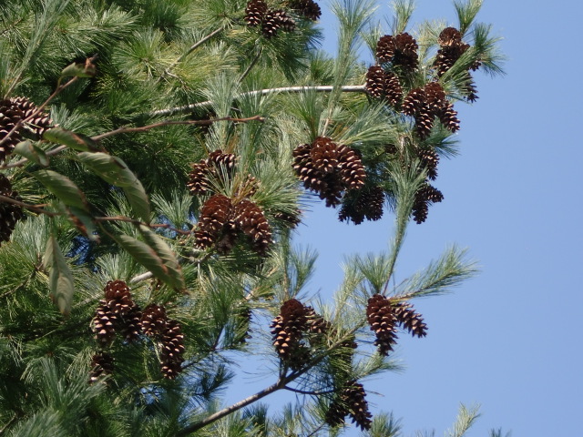 e0234924_10272669.jpg
