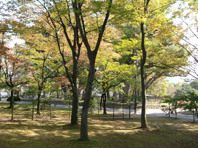 e0234924_10374188.jpg