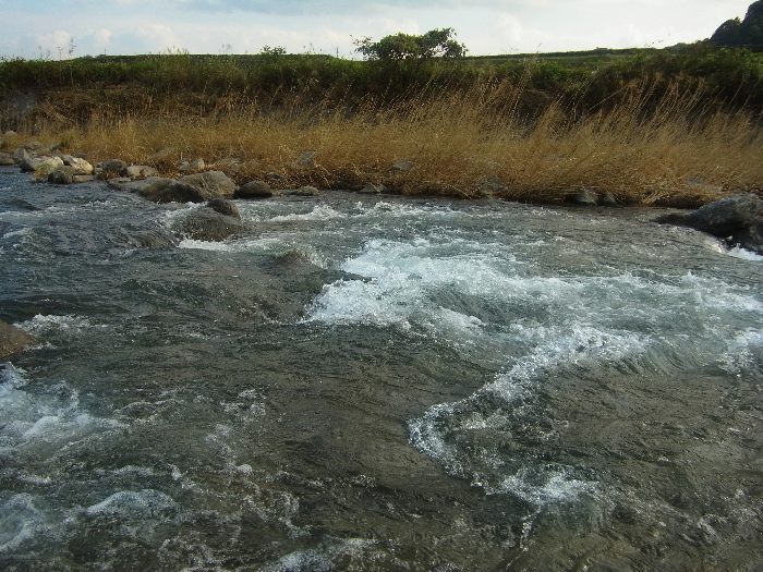 f0103126_19571282.jpg